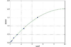 CKLF-Like MARVEL Transmembrane Domain Containing 6 (CMTM6) ELISA Kit