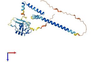 AlphaFold protein structure predicition of Mouse Recombinant Phf11a Protein, UniprotID Q8BVM9 (Phf11a Protein (AA 1-293) (His tag))