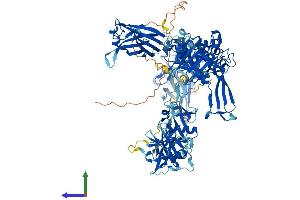 AlphaFold protein structure predicition of Human Recombinant USP7 Protein, UniprotID Q93009 (USP7 Protein (AA 1-1102) (His tag))