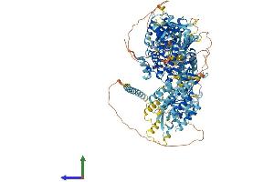 AlphaFold protein structure predicition of Human Recombinant MAP3K6 Protein, UniprotID O95382