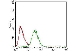 Flow cytometric analysis of Hela cells using TWIST1 mouse mAb (green) and negative control (red). (TWIST1 antibody  (AA 9-74))