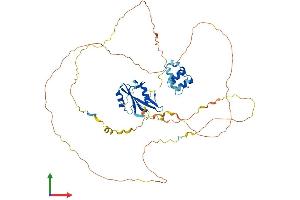AlphaFold protein structure predicition of Human Recombinant LCP2 Protein, UniprotID Q13094 (LCP2 Protein (AA 1-533) (His tag))