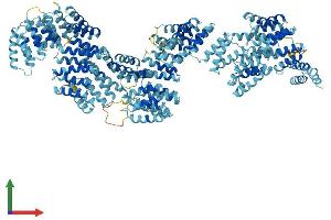 AlphaFold protein structure predicition of Mouse Recombinant Ttc21b Protein, UniprotID Q0HA38