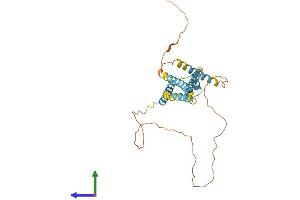 AlphaFold protein structure predicition of Human Recombinant CAMLG Protein, UniprotID P49069 (CAMLG Protein (AA 1-296) (His tag))
