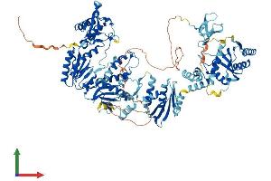 AlphaFold protein structure predicition of Human Recombinant ERVK-19 Protein, UniprotID Q9WJR5 (ERVK-19 Protein (AA 1-959) (His tag))