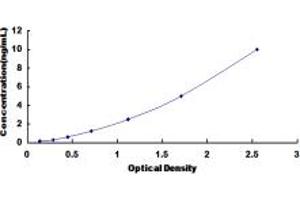 ELISA image for Succinate Dehydrogenase Complex, Subunit B, Iron Sulfur (Ip) (SDHB) ELISA Kit (ABIN3169593) (SDHB ELISA Kit)