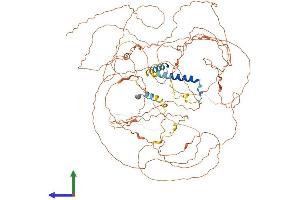AlphaFold protein structure predicition of Human Recombinant C2orf78 Protein, UniprotID A6NCI8 (C2ORF78 Protein (AA 1-922) (His tag))