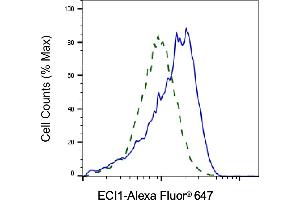 Validation of ECI1 knockdown using flow cytometry. (Recombinant DCI antibody)
