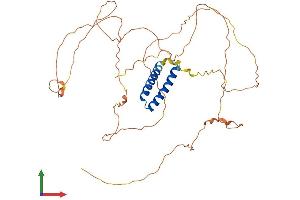 AlphaFold protein structure predicition of Mouse Recombinant Ss18l1 Protein, UniprotID Q8BW22