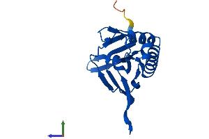 AlphaFold protein structure predicition of Mouse Recombinant Dtd2 Protein, UniprotID Q8BHA3