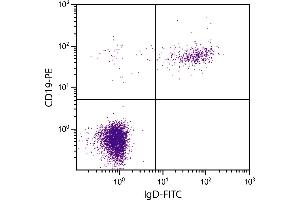 Human peripheral blood lymphocytes were stained with Goat F(ab’)2 Anti-Human IgD-FITC  and Mouse Anti-Human CD19-PE. (Goat anti-Human IgD Antibody (FITC))