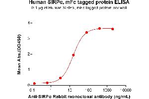 ELISA image for Signal-Regulatory Protein alpha (SIRPA) (AA 31-373) protein (mFc Tag) (ABIN7092698)