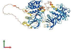 Protein Structure (PS) image for Ribosomal Protein S6 Kinase, 90kDa, Polypeptide 1 (RPS6KA1) (AA 1-735) protein (His tag) (ABIN7554317)