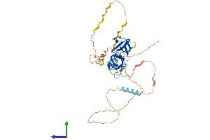 AlphaFold protein structure predicition of Human Recombinant STAC2 Protein, UniprotID Q6ZMT1 (STAC2 Protein (AA 1-411) (His tag))