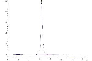 The purity of Biotinylated Human MMP-9 is greater than 95 % as determined by SEC-HPLC. (MMP 9 Protein (His-Avi Tag,Biotin))