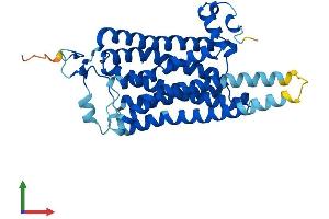 AlphaFold protein structure predicition of Mouse Recombinant Taar8b Protein, UniprotID Q5QD06 (TAAR8B Protein (AA 1-344) (His tag))