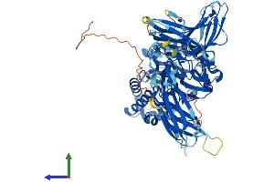 AlphaFold protein structure predicition of Mouse Recombinant Engase Protein, UniprotID Q8BX80 (ENGASE Protein (AA 1-734) (His tag))