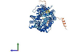 AlphaFold protein structure predicition of Mouse Recombinant Slc6a12 Protein, UniprotID P31651 (SLC6A12 Protein (AA 1-614) (His tag))