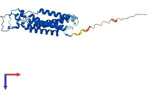 PPAP2C Protein (AA 1-276) (His tag)