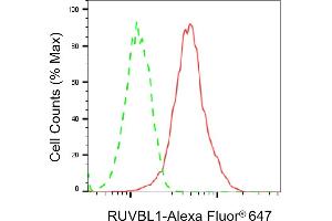 Flow cytometric analysis of RUVBL1 expression in HepG2 cells using RUVBL1 antibody (ABIN7800967), 1:2,000).