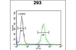 MR Antibody (N-term) 9980a flow cytometric analysis of 293 cells (right histogram) compared to a negative control cell (left histogram). (MRAP antibody  (N-Term))