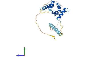 AlphaFold protein structure predicition of Human Recombinant C7orf50 Protein, UniprotID Q9BRJ6 (C7orf50 Protein (AA 1-194) (His tag))