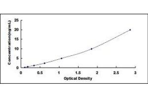 Typical standard curve (FOXO1 ELISA Kit)
