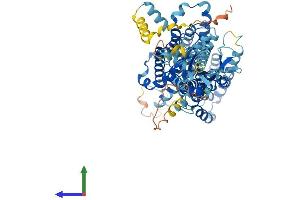 Protein Structure (PS) image for Solute Carrier Family 26 (Sulfate Transporter), Member 1 (SLC26A1) (AA 1-701) protein (His tag) (ABIN7555298)