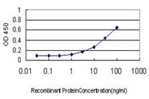 Detection limit for recombinant GST tagged SRCRB4D is approximately 0. (SRCRB4D antibody  (AA 1-190))