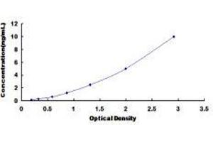Mucosal Vascular Addressin Cell Adhesion Molecule 1 (MADCAM1) ELISA Kit