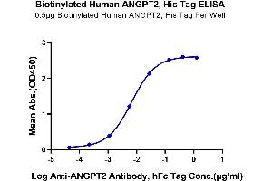 Immobilized Biotinylated Human ANGPT2, His Tag at 5 μg/mL (100 μL/Well) on the Streptavidin Procated plate. (Angiopoietin 2 Protein (ANGPT2) (His-Avi Tag,Biotin))