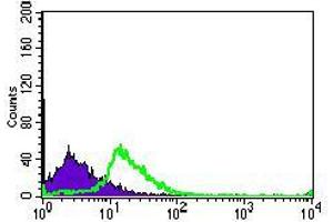 Flow cytometric analysis of MOLT4 cells using TGFBR3 mouse mAb (green) and negative control (purple). (TGFBR3 antibody  (AA 147-328))