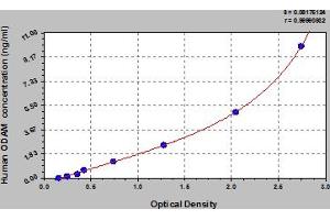 ODAM ELISA Kit