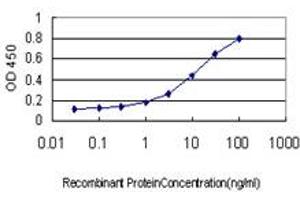 Detection limit for recombinant GST tagged TDP1 is approximately 0. (TDP1 antibody  (AA 1-608))