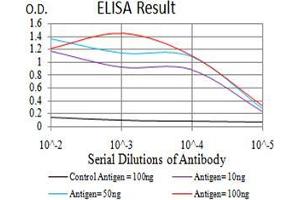 Black line: Control Antigen (100 ng);Purple line: Antigen (10ng); Blue line: Antigen (50 ng); Red line:Antigen (100 ng) (KLF2 antibody  (AA 251-355))