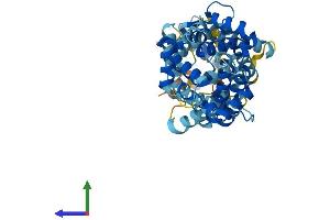 Protein Structure (PS) image for Solute Carrier Family 25 (Mitochondrial Carrier, Phosphate Carrier), Member 24 (SLC25A24) (AA 1-475) protein (His tag) (ABIN7564394)