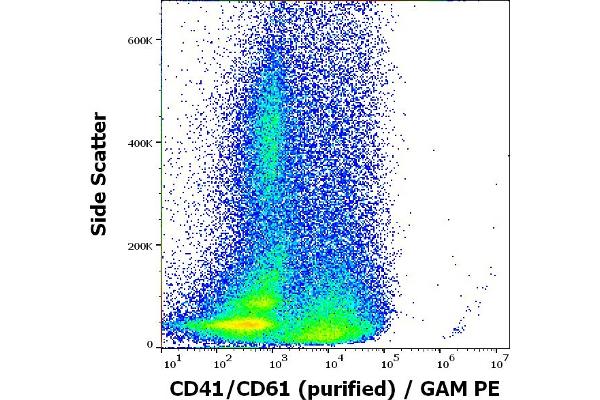 CD41, CD61 anticorps