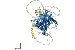 AlphaFold protein structure predicition of Mouse Recombinant Ano3 Protein, UniprotID A2AHL1 (ANO3 Protein (AA 1-981) (His tag))