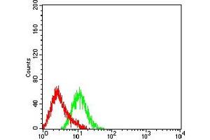 Flow cytometric analysis of HL-60 cells using CD307A mouse mAb (green) and negative control (red). (FCRL1 antibody  (AA 17-202))