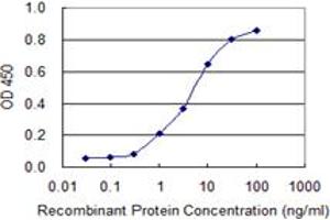 Detection limit for recombinant GST tagged TIMM8B is 0. (TIMM8B antibody  (AA 1-83))