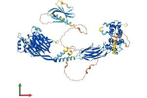 Protein Structure (PS) image for Oculocerebrorenal Syndrome of Lowe (OCRL) (AA 1-901) protein (His tag) (ABIN7554814)