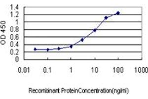 Detection limit for recombinant GST tagged UCHL3 is approximately 0. (UCHL3 antibody  (AA 131-230))