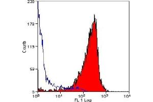 Staining of rat thymus with MOUSE ANTI RAT CD90 (THY 1. (CD90 antibody)