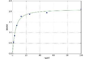 Transferrin Receptor 2 (TFR2) ELISA Kit