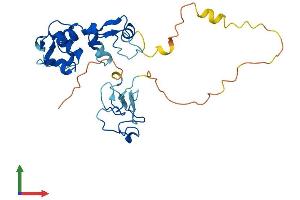 AlphaFold protein structure predicition of Mouse Recombinant Arl14ep Protein, UniprotID Q8BIX3 (C11orf46 Protein (AA 1-276) (His tag))