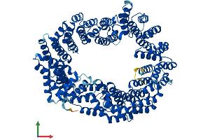 Protein Structure (PS) image for Transportin 3 (TNPO3) (AA 1-923) protein (His tag) (ABIN7555802)