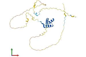 Protein Structure (PS) image for Hematopoietically Expressed Homeobox (HHEX) (AA 1-271) protein (His tag) (ABIN7563254)
