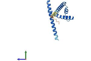 AlphaFold protein structure predicition of Human Recombinant CENPS Protein, UniprotID Q8N2Z9 (APITD1 Protein (AA 1-138) (His tag))