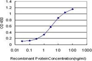 Detection limit for recombinant GST tagged PPARBP is approximately 0. (MED1 antibody  (AA 1391-1490))