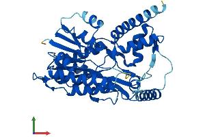 AlphaFold protein structure predicition of Mouse Recombinant Hsd3b5 Protein, UniprotID Q61694 (HSD3B5 Protein (AA 1-373) (His tag))